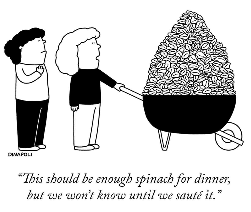 DINAPOLI "This should be enough spinach for dinner, but we won't know until we sauté it. "