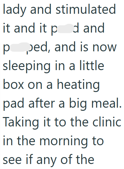 lady and stimulated it and it pad and pped, and is now sleeping in a little box on a heating pad after a big meal. Taking it to the clinic in the morning to see if any of the