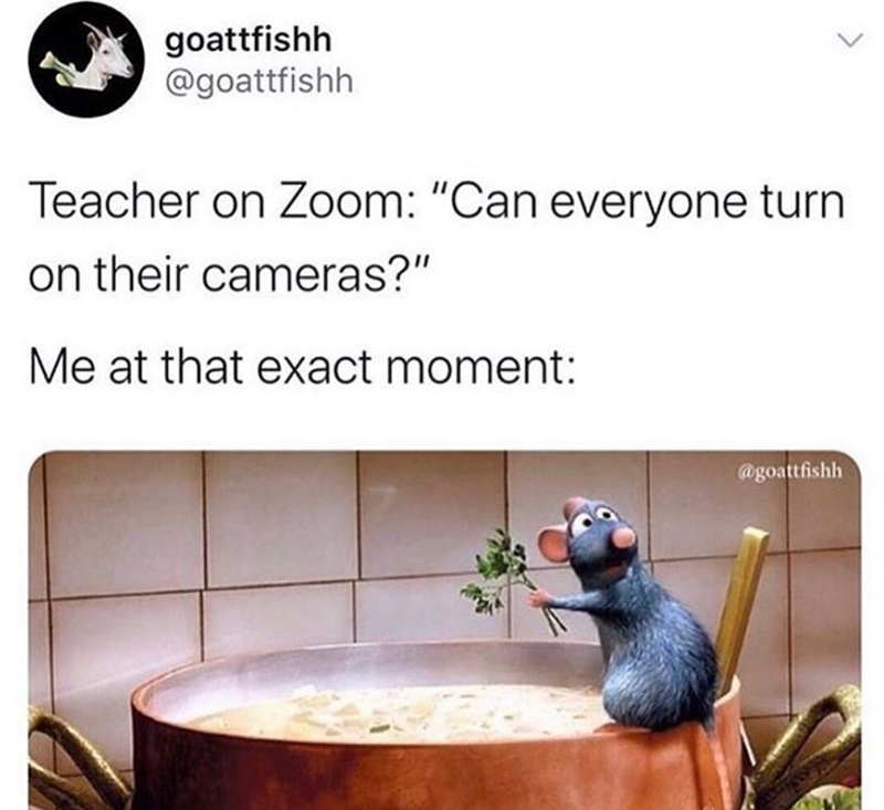 goattfishh @goattfishh Teacher on Zoom: "Can everyone turn. on their cameras?" Me at that exact moment: @goattfishh