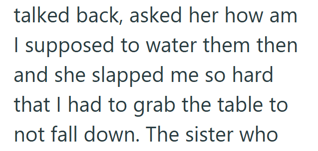 talked back, asked her how am I supposed to water them then and she slapped me so hard that I had to grab the table to not fall down. The sister who