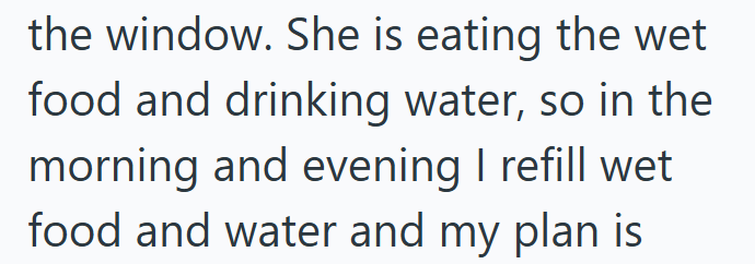 the window. She is eating the wet food and drinking water, so in the morning and evening I refill wet food and water and my plan is