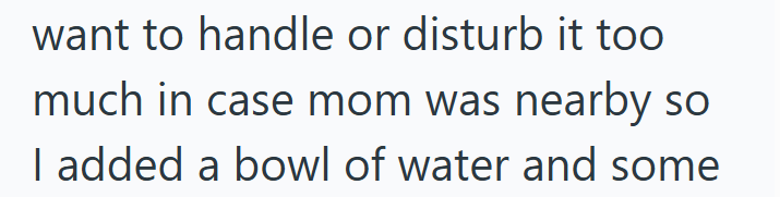 want to handle or disturb it too much in case mom was nearby so I added a bowl of water and some