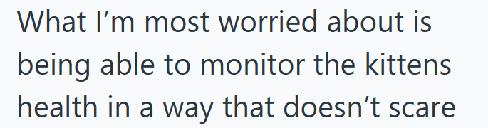 What I'm most worried about is being able to monitor the kittens health in a way that doesn't scare