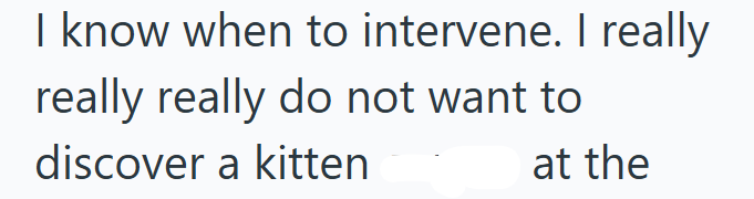 I know when to intervene. I really really really do not want to discover a kitten at the