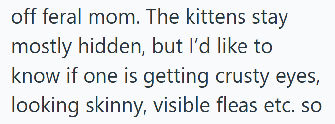 off feral mom. The kittens stay mostly hidden, but I'd like to know if one is getting crusty eyes, looking skinny, visible fleas etc. so
