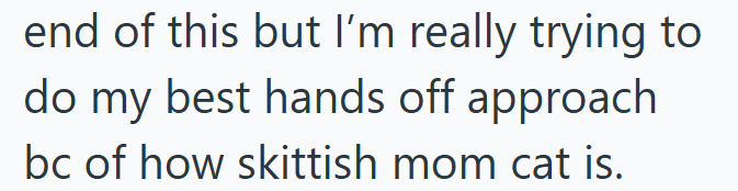 end of this but I'm really trying to do my best hands off approach bc of how skittish mom cat is.