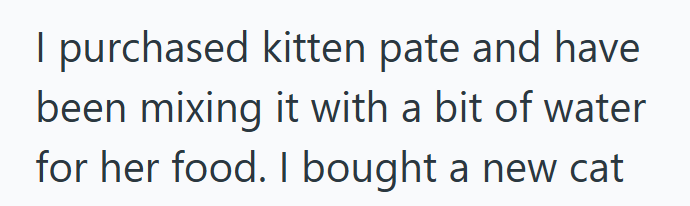 I purchased kitten pate and have been mixing it with a bit of water for her food. I bought a new cat