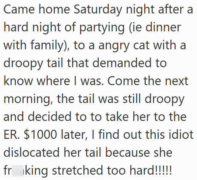 Came home Saturday night after a hard night of partying (ie dinner with family), to a angry cat with a droopy tail that demanded to know where I was. Come the next morning, the tail was still droopy and decided to to take her to the ER. $1000 later, I find out this idiot dislocated her tail because she fr king stretched too hard!!!!!!