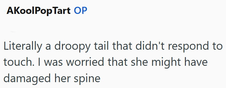 AKoolPopTart OP Literally a droopy tail that didn't respond to touch. I was worried that she might have damaged her spine