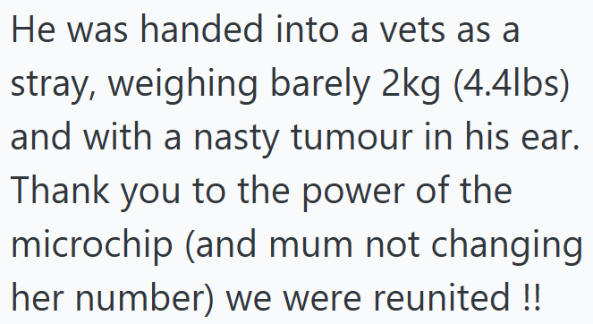 He was handed into a vets as a stray, weighing barely 2kg (4.4lbs) and with a nasty tumour in his ear. Thank you to the power of the microchip (and mum not changing her number) we were reunited !!