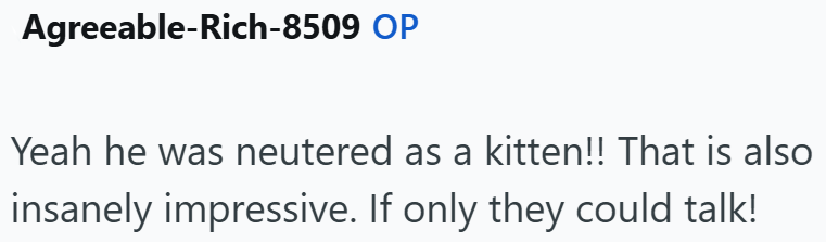 Agreeable-Rich-8509 OP Yeah he was neutered as a kitten!! That is also insanely impressive. If only they could talk!