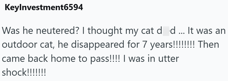 KeyInvestment6594 Was he neutered? I thought my cat død... It was an outdoor cat, he disappeared for 7 years!!!!!!!! Then came back home to pass!!!! I was in utter shock!!!!!!!
