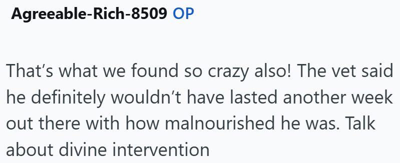 Agreeable-Rich-8509 OP That's what we found so crazy also! The vet said he definitely wouldn't have lasted another week out there with how malnourished he was. Talk about divine intervention