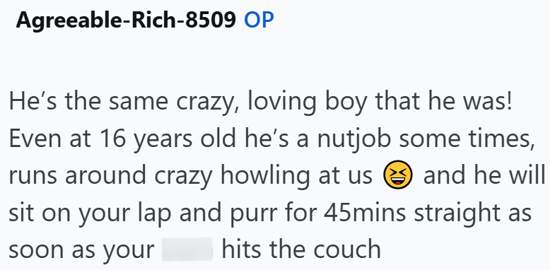 Agreeable-Rich-8509 OP He's the same crazy, loving boy that he was! Even at 16 years old he's a nutjob some times, runs around crazy howling at us and he will sit on your lap and purr for 45mins straight as hits the couch soon as your