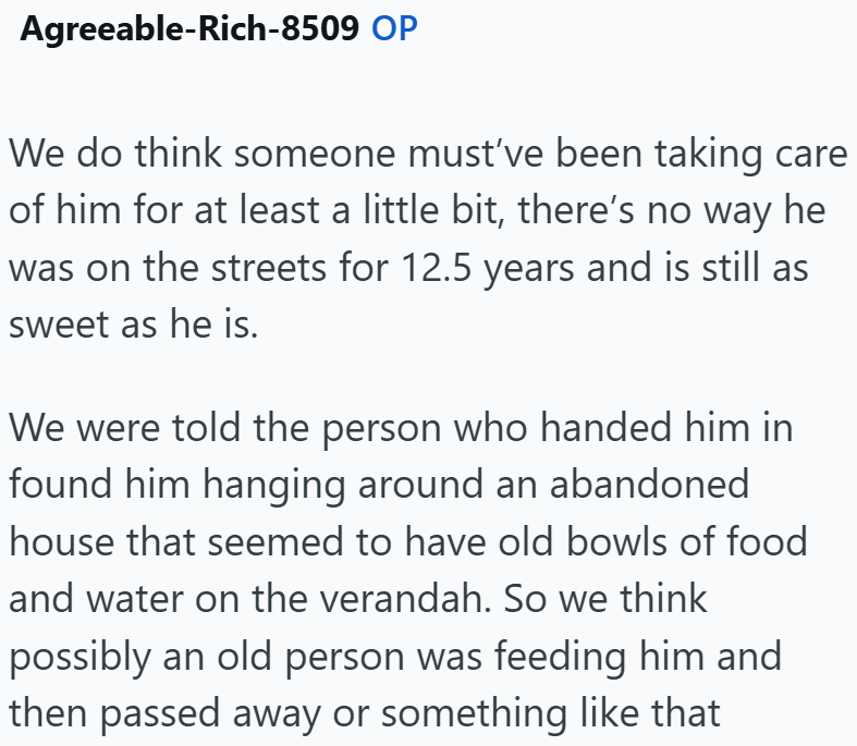 Agreeable-Rich-8509 OP We do think someone must've been taking care of him for at least a little bit, there's no way he was on the streets for 12.5 years and is still as sweet as he is. We were told the person who handed him in found him hanging around an abandoned house that seemed to have old bowls of food and water on the verandah. So we think possibly an old person was feeding him and then passed away or something like that