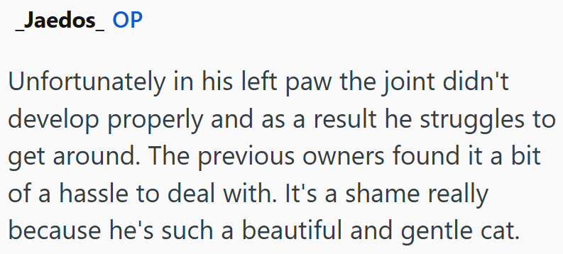 _Jaedos_ OP Unfortunately in his left paw the joint didn't develop properly and as a result he struggles to get around. The previous owners found it a bit of a hassle to deal with. It's a shame really because he's such a beautiful and gentle cat.