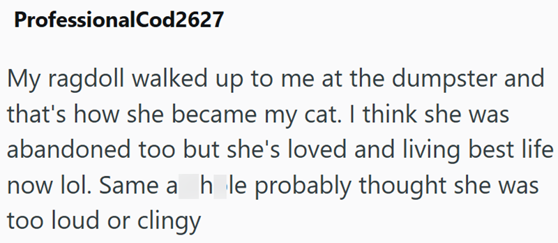 ProfessionalCod2627 My ragdoll walked up to me at the dumpster and that's how she became my cat. I think she was abandoned too but she's loved and living best life now lol. Same a hole probably thought she was too loud or clingy