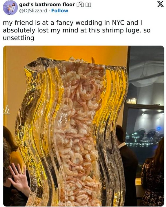 god's bathroom floor @DJSlizzard Follow my friend is at a fancy wedding in NYC and I absolutely lost my mind at this shrimp luge. so unsettling X