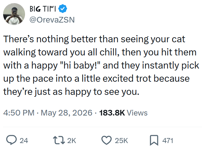 BIG TIMI @OrevaZSN There's nothing better than seeing your cat walking toward you all chill, then you hit them with a happy "hi baby!" and they instantly pick up the pace into a little excited trot because they're just as happy to see you. 4:50 PM - May 28, 2026 183.8K Views 24 172K 25K 471