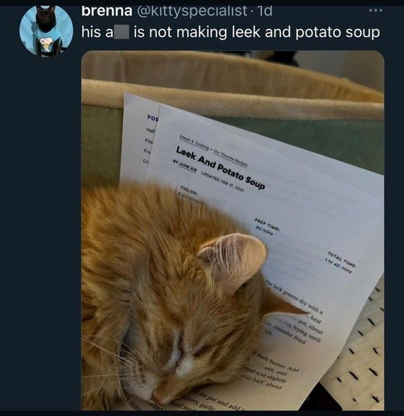 brenna @kittyspecialist . 1d his a is not making leek and potato soup FOR Half Frie Fre Meals & Coing Our Faverts Recipes Leek And Potato Soup BY JUNE XIE UPDATED: FEB 17, 2021 YIELDS min PREP TIME 30 mins TOTAL TIME 1hr 40 mins Pat leek greens dry with a heat sta frying until pot, about Transfer fried Amelt butter. Add salt, and Shed and slightly over half about the por and add chovy garlic