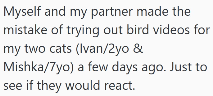 Myself and my partner made the mistake of trying out bird videos for my two cats (Ivan/2yo & Mishka/7yo) a few days ago. Just to see if they would react.