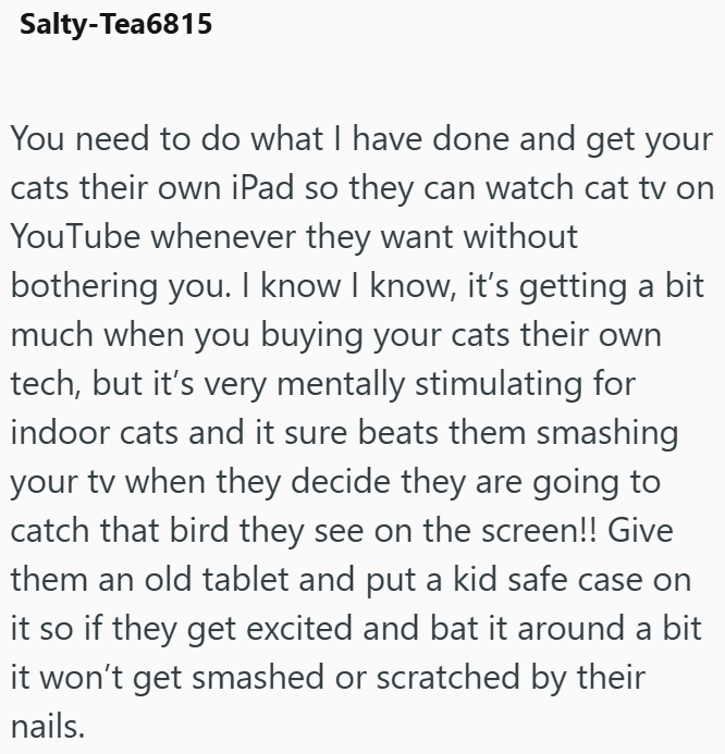 Salty-Tea6815 You need to do what I have done and get your cats their own iPad so they can watch cat tv on YouTube whenever they want without bothering you. I know I know, it's getting a bit much when you buying your cats their own tech, but it's very mentally stimulating for indoor cats and it sure beats them smashing your tv when they decide they are going to catch that bird they see on the screen!! Give them an old tablet and put a kid safe case on it so if they get excited and bat it around