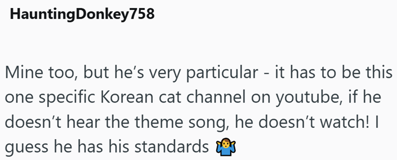 Haunting Donkey758 Mine too, but he's very particular - it has to be this one specific Korean cat channel on youtube, if he doesn't hear the theme song, he doesn't watch! I guess he has his standards