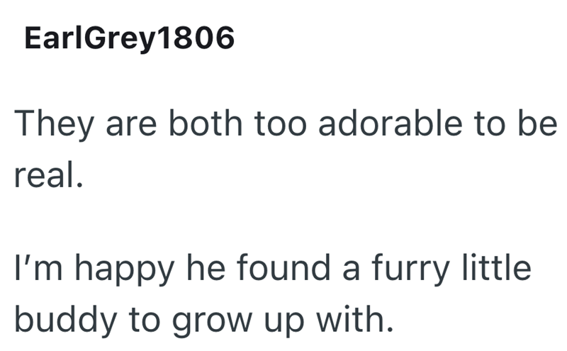 Earl Grey 1806 They are both too adorable to be real. I'm happy he found a furry little buddy to grow up with.
