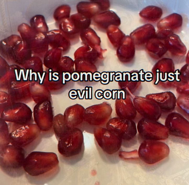 vert e for ind Why is pomegranate just evil corn