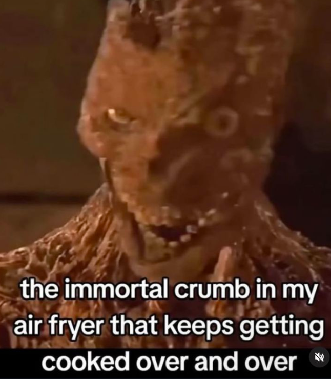 the immortal crumb in my air fryer that keeps getting cooked over and over *