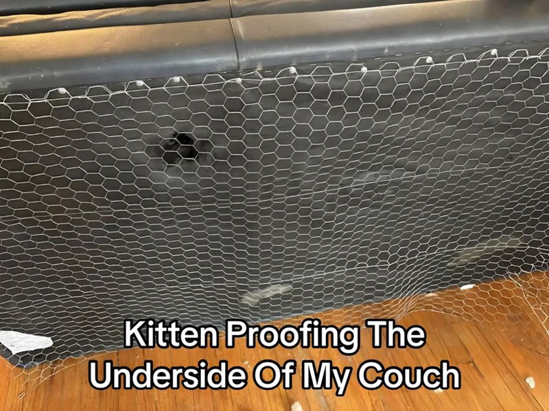 Kitten Proofing The Underside Of My Couch