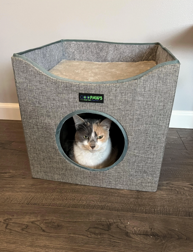 GOOPAWS