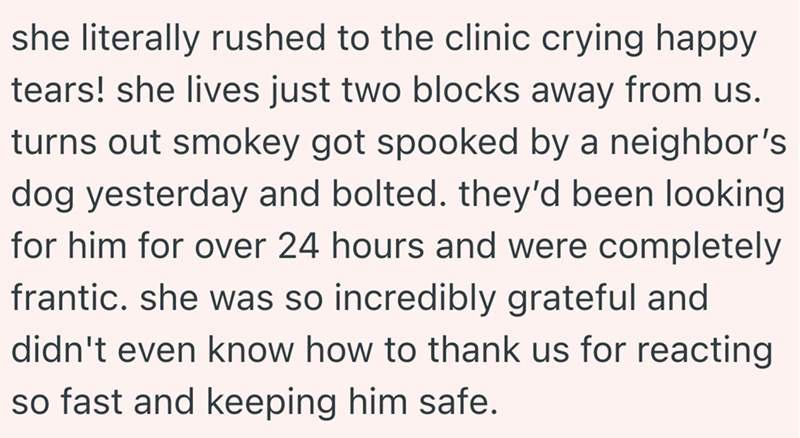 she literally rushed to the clinic crying happy tears! she lives just two blocks away from us. turns out smokey got spooked by a neighbor's dog yesterday and bolted. they'd been looking for him for over 24 hours and were completely frantic. she was so incredibly grateful and didn't even know how to thank us for reacting so fast and keeping him safe.