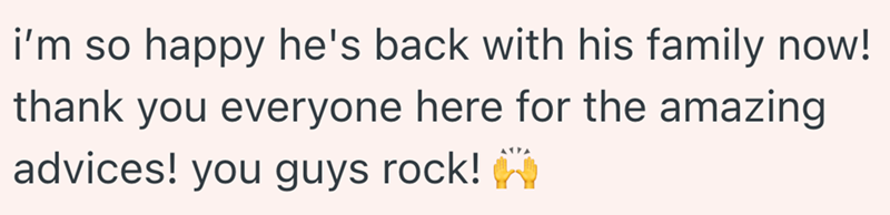 i'm so happy he's back with his family now! thank you everyone here for the amazing. advices! you guys rock! H