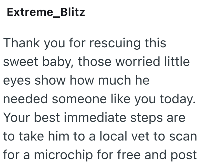 Extreme_Blitz Thank you for rescuing this sweet baby, those worried little eyes show how much he needed someone like you today. Your best immediate steps are to take him to a local vet to scan for a microchip for free and post