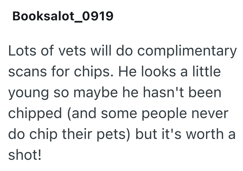 Booksalot_0919 Lots of vets will do complimentary scans for chips. He looks a little young so maybe he hasn't been chipped (and some people never do chip their pets) but it's worth a shot!