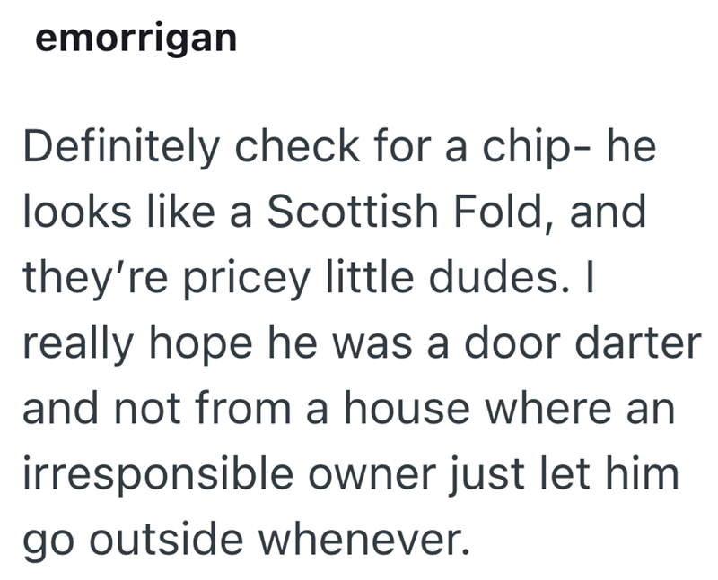 emorrigan Definitely check for a chip- he looks like a Scottish Fold, and they're pricey little dudes. I really hope he was a door darter and not from a house where an irresponsible owner just let him go outside whenever.