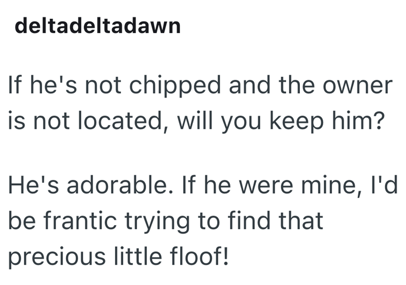 deltadeltadawn If he's not chipped and the owner is not located, will you keep him? He's adorable. If he were mine, I'd be frantic trying to find that precious little floof!