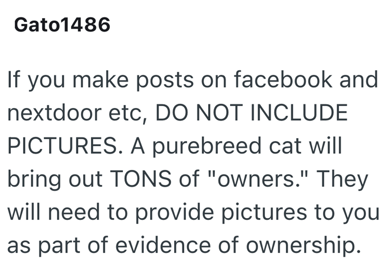 Gato1486 If you make posts on facebook and nextdoor etc, DO NOT INCLUDE PICTURES. A purebreed cat will bring out TONS of "owners." They will need to provide pictures to you as part of evidence of ownership.