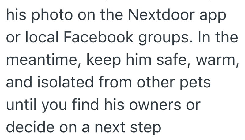 his photo on the Nextdoor app or local Facebook groups. In the meantime, keep him safe, warm, and isolated from other pets until you find his owners or decide on a next step