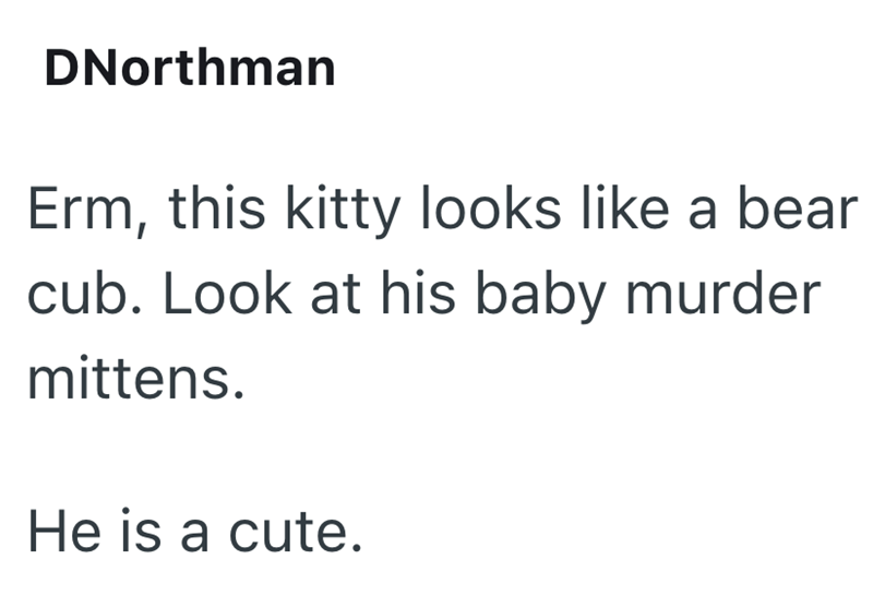 DNorthman Erm, this kitty looks like a bear cub. Look at his baby murder mittens. He is a cute.