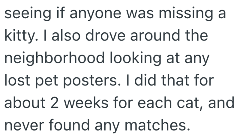 seeing if anyone was missing a kitty. I also drove around the neighborhood looking at any lost pet posters. I did that for about 2 weeks for each cat, and never found any matches.