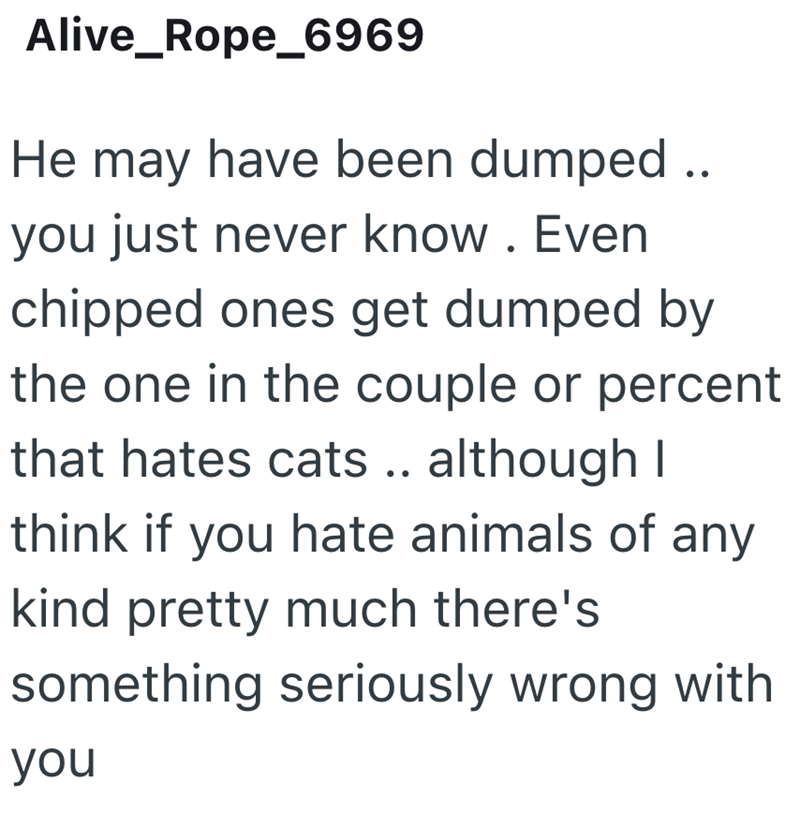 Alive_Rope_6969 He may have been dumped .. you just never know. Even chipped ones get dumped by the one in the couple or percent that hates cats .. although I think if you hate animals of any kind pretty much there's something seriously wrong with you