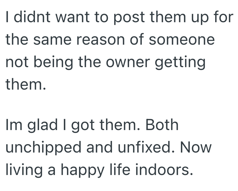 I didnt want to post them up for the same reason of someone not being the owner getting them. Im glad I got them. Both unchipped and unfixed. Now living a happy life indoors.