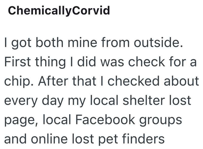 ChemicallyCorvid I got both mine from outside. First thing I did was check for a chip. After that I checked about every day my local shelter lost page, local Facebook groups and online lost pet finders