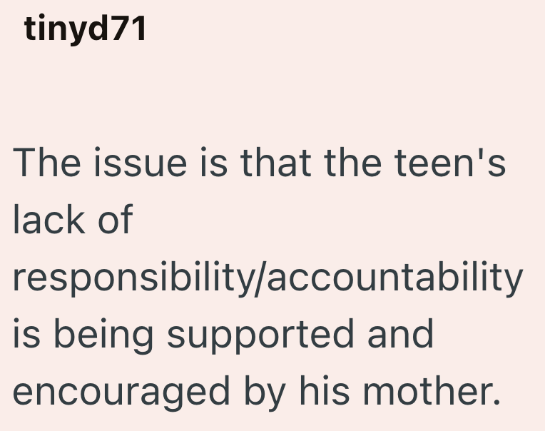 tinyd71 The issue is that the teen's lack of responsibility/accountability is being supported and encouraged by his mother.
