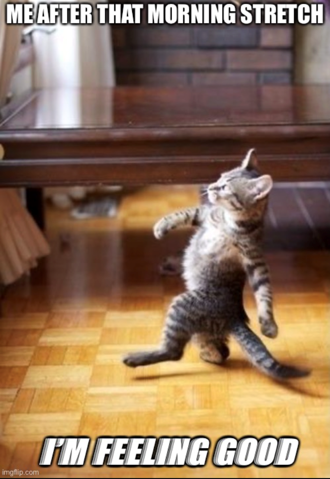 ME AFTER THAT MORNING STRETCH imgflip.com FM FEELING GOOD