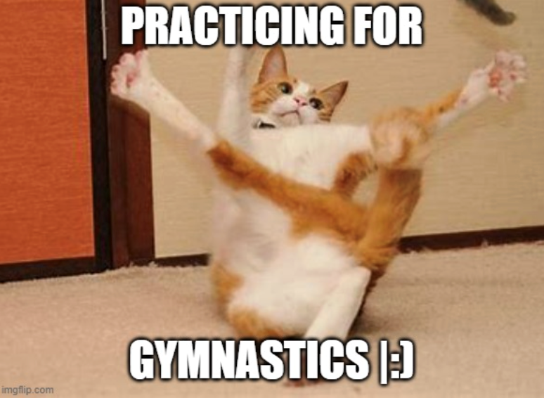 imgflip.com PRACTICING FOR GYMNASTICS |:)