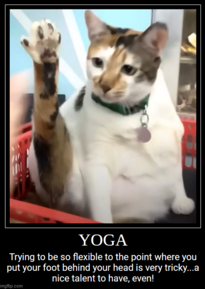 YOGA Trying to be so flexible to the point where you put your foot behind your head is very tricky...a nice talent to have, even! mgflip.com