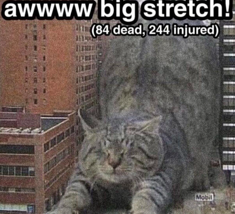 awwww big stretch! (84 dead, 244 injured) Mobil
